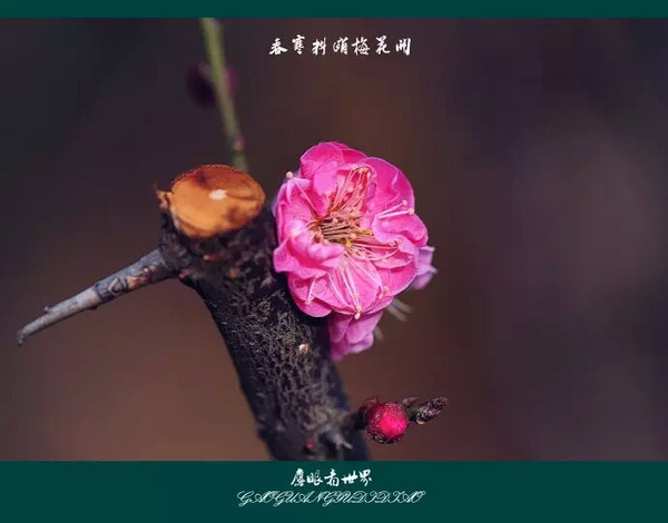 【周年特刊】孙梧诗歌选