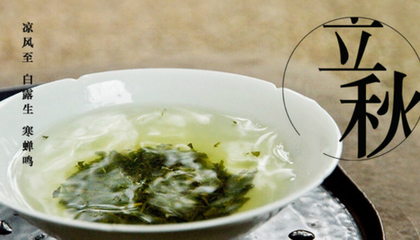 顺时饮茶的养生密码